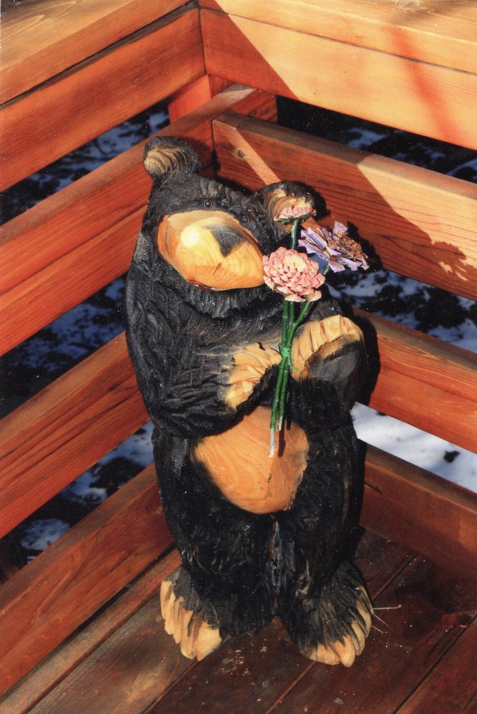 shrinking violet Bear