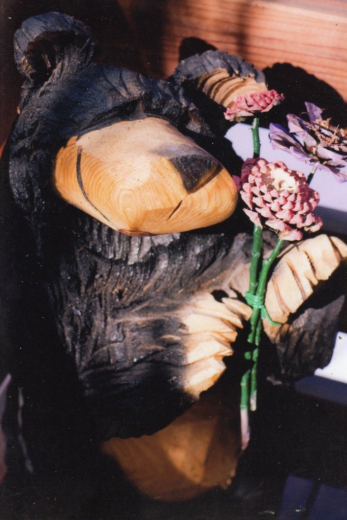 shrinking violet Bear