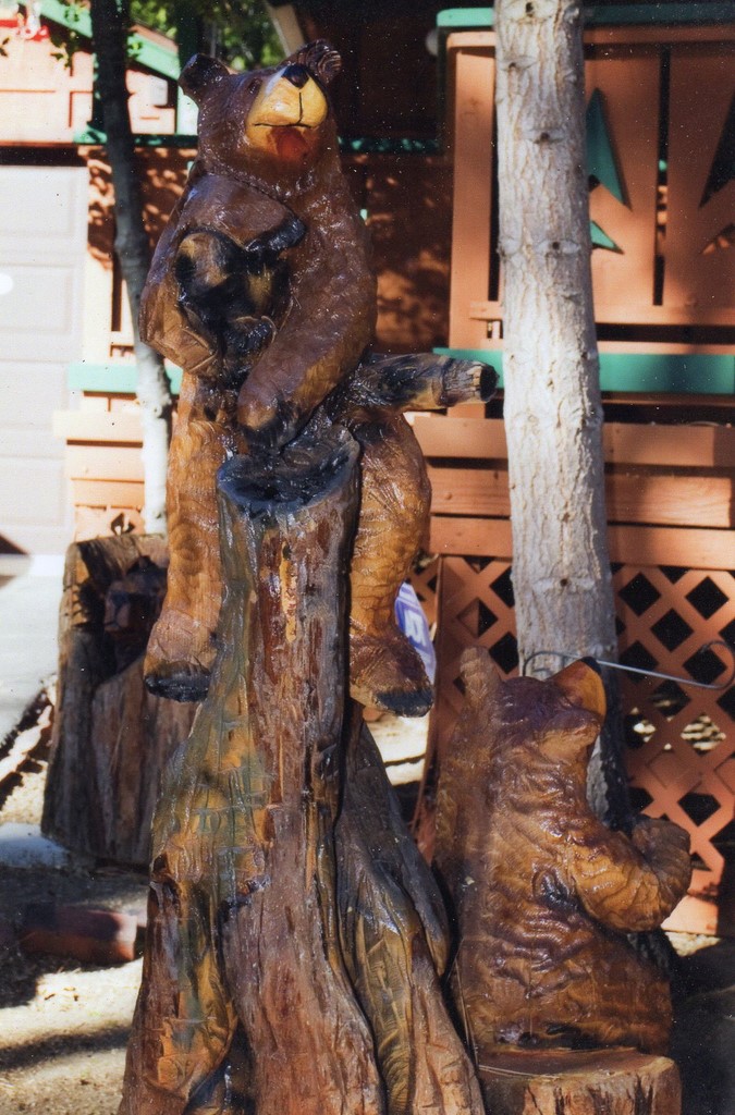 bear collection special order