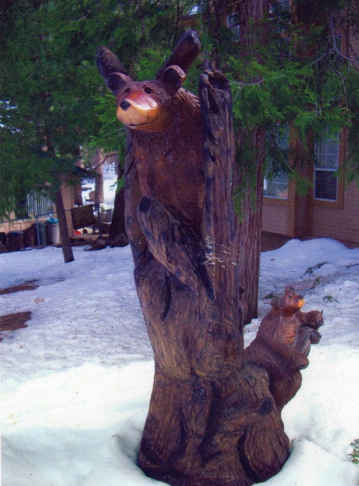 where did he go Bear